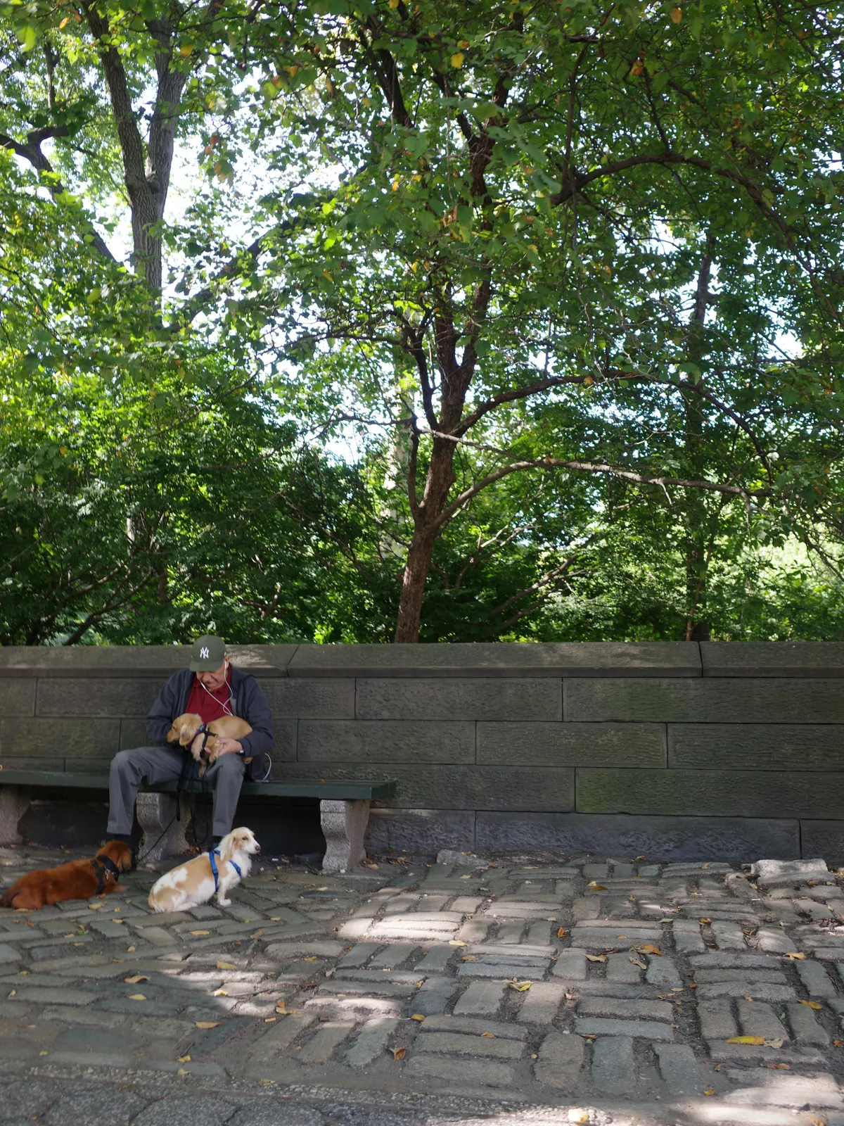 Photograph 58