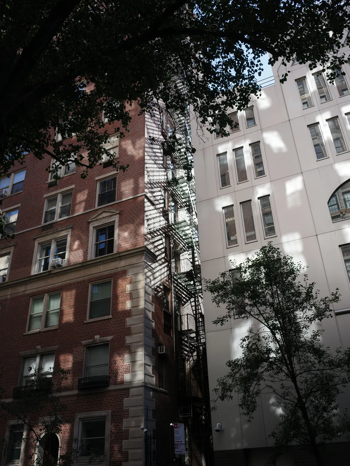 Photograph 55