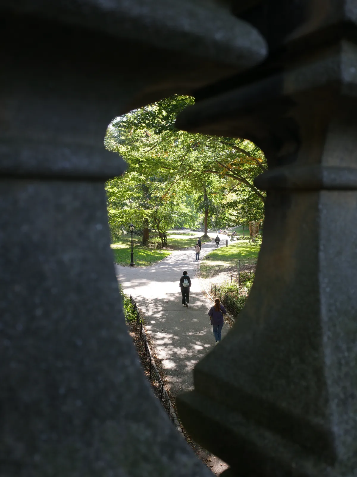 Photograph 54
