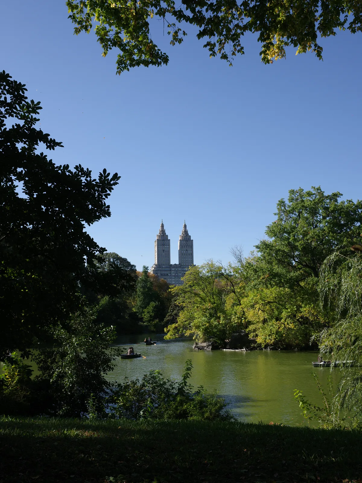 Photograph 48