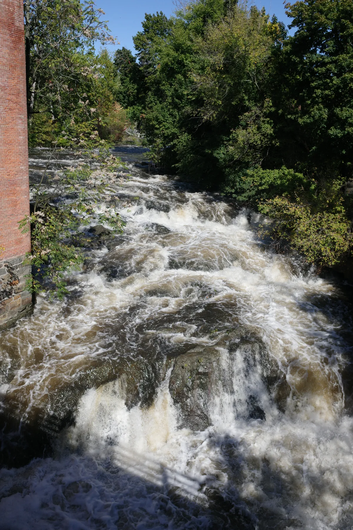 Photograph 33