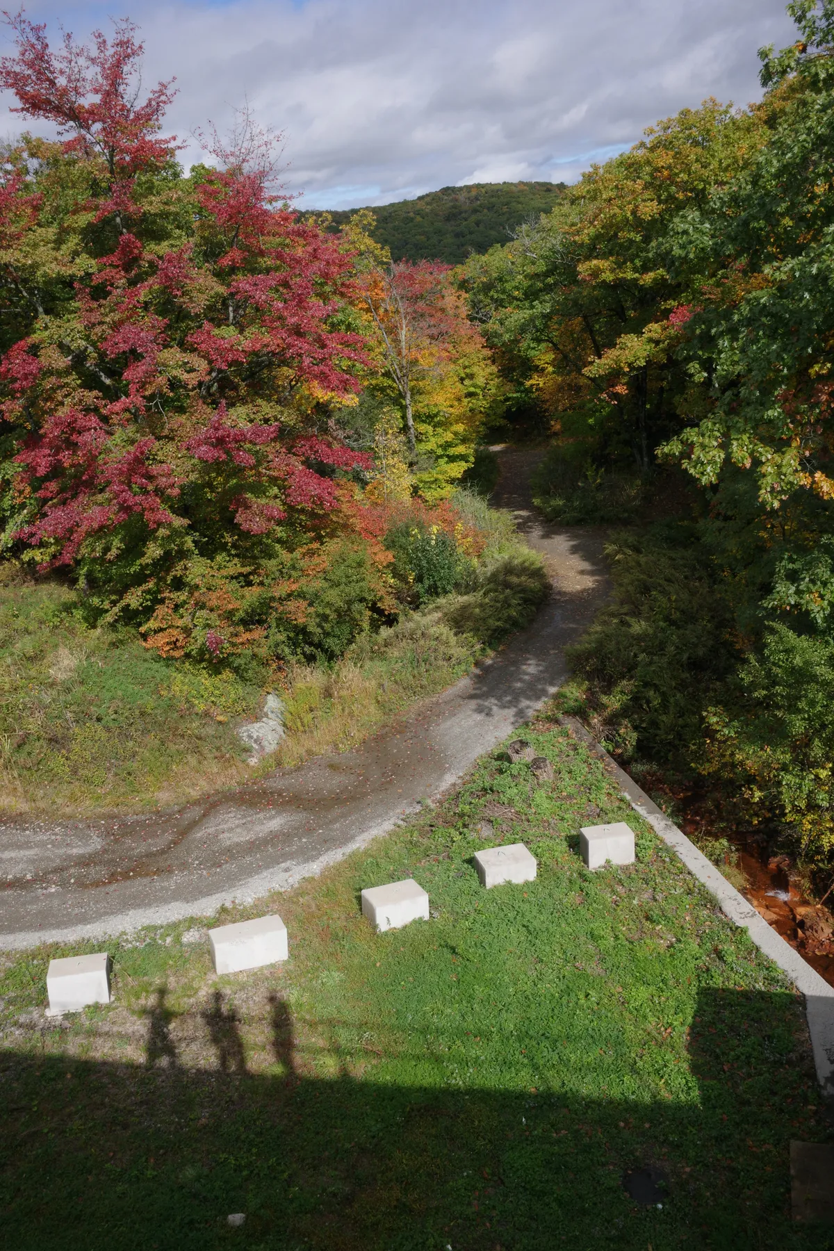 Photograph 30