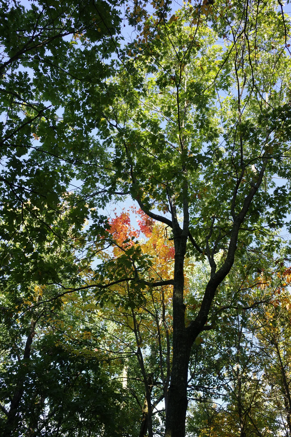 Photograph 24
