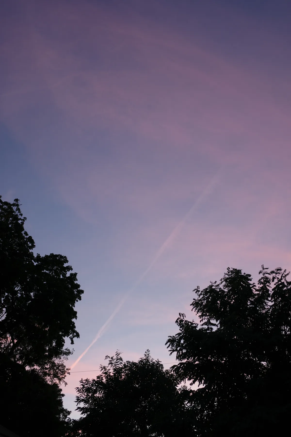 Photograph 22