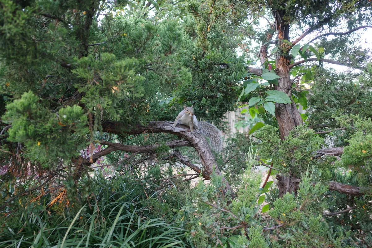 Photograph 19